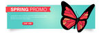 春天红色花蝴蝶banner