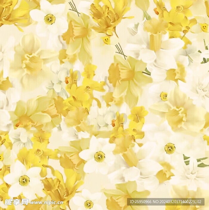 黄花
