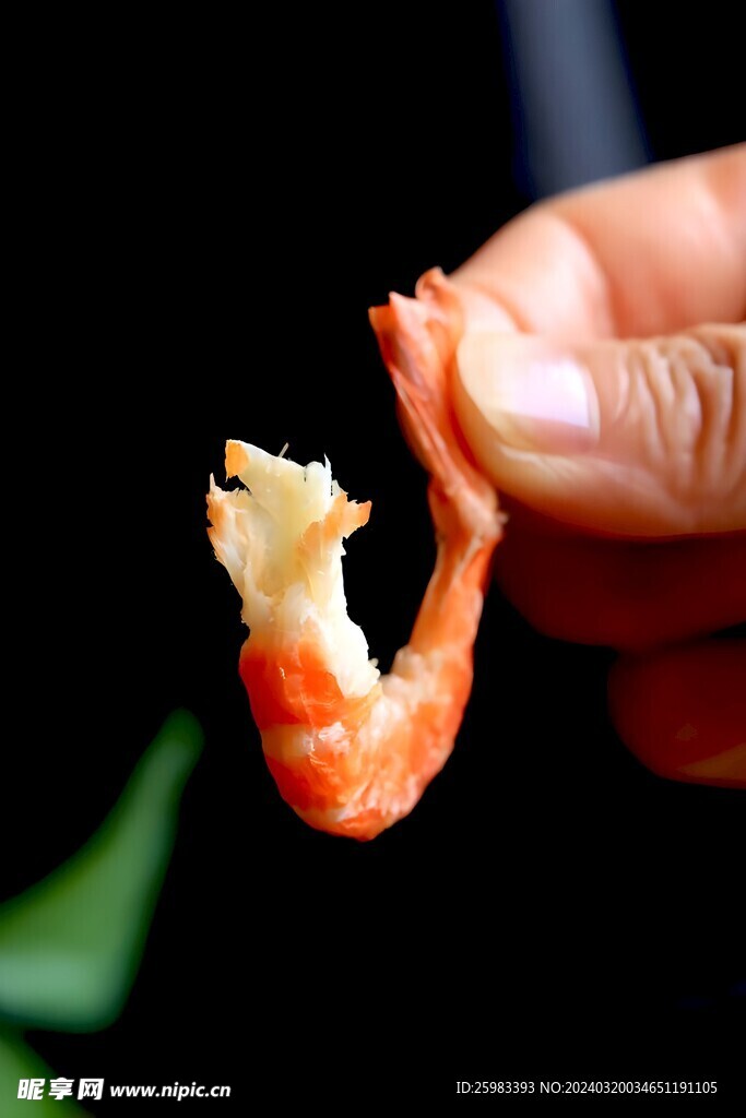 九节虾干