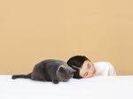 猫猫