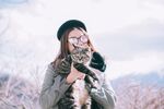 猫猫