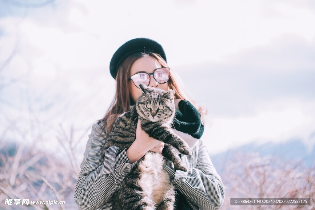 猫猫