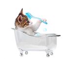猫猫