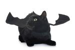 猫猫