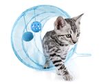 猫猫