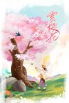 樱花季