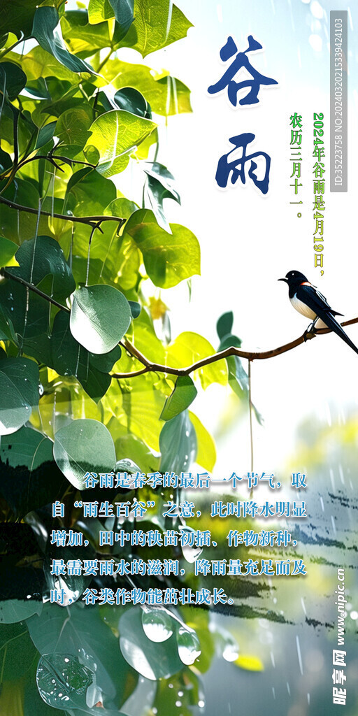 谷雨