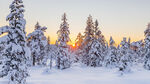 白色雪景雪白结冰白茫茫夕阳积雪