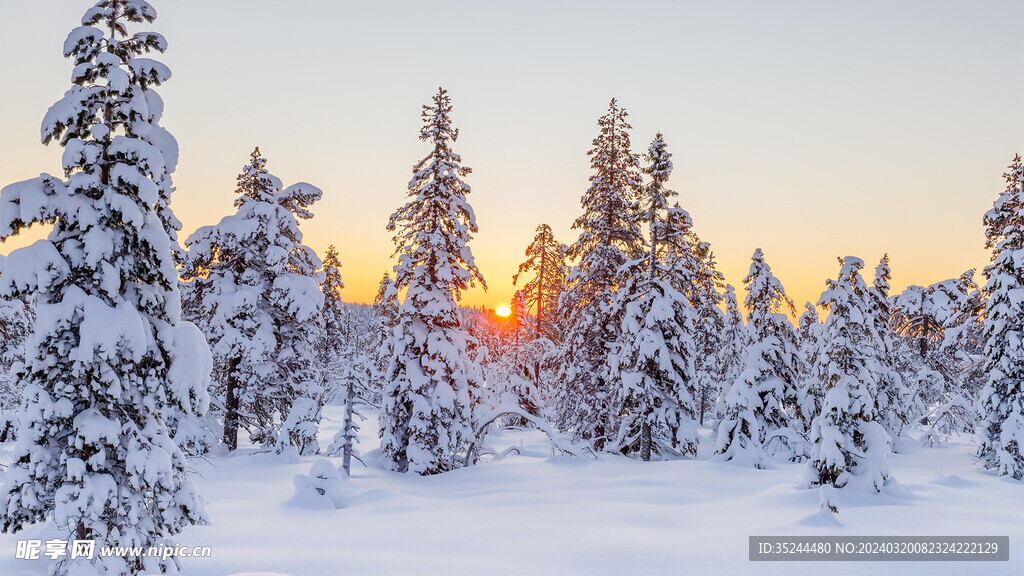 白色雪景雪白结冰白茫茫夕阳积雪