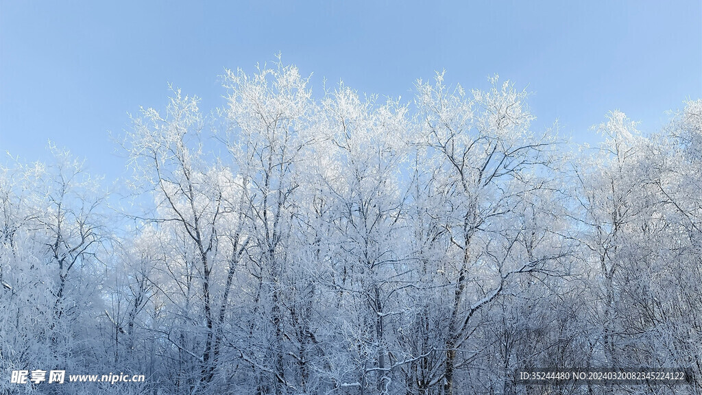 白色雪景雪白结冰白茫茫白云积雪