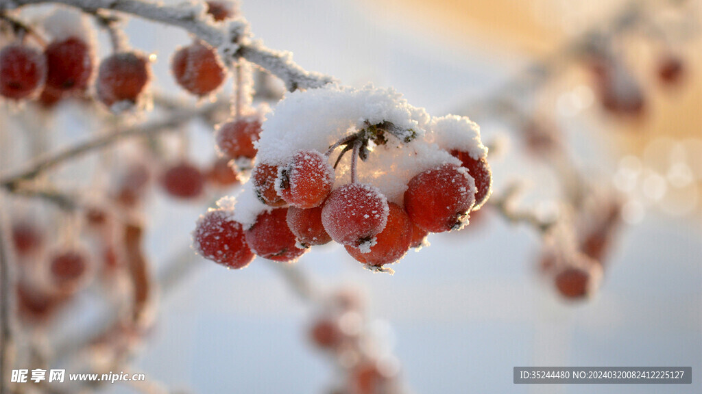 白色雪景雪白结冰白茫茫积雪