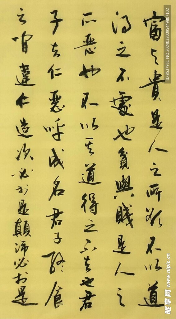 富贵  杨克东书法鸿鹄图片