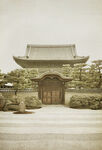 国风工笔国画分层素材 