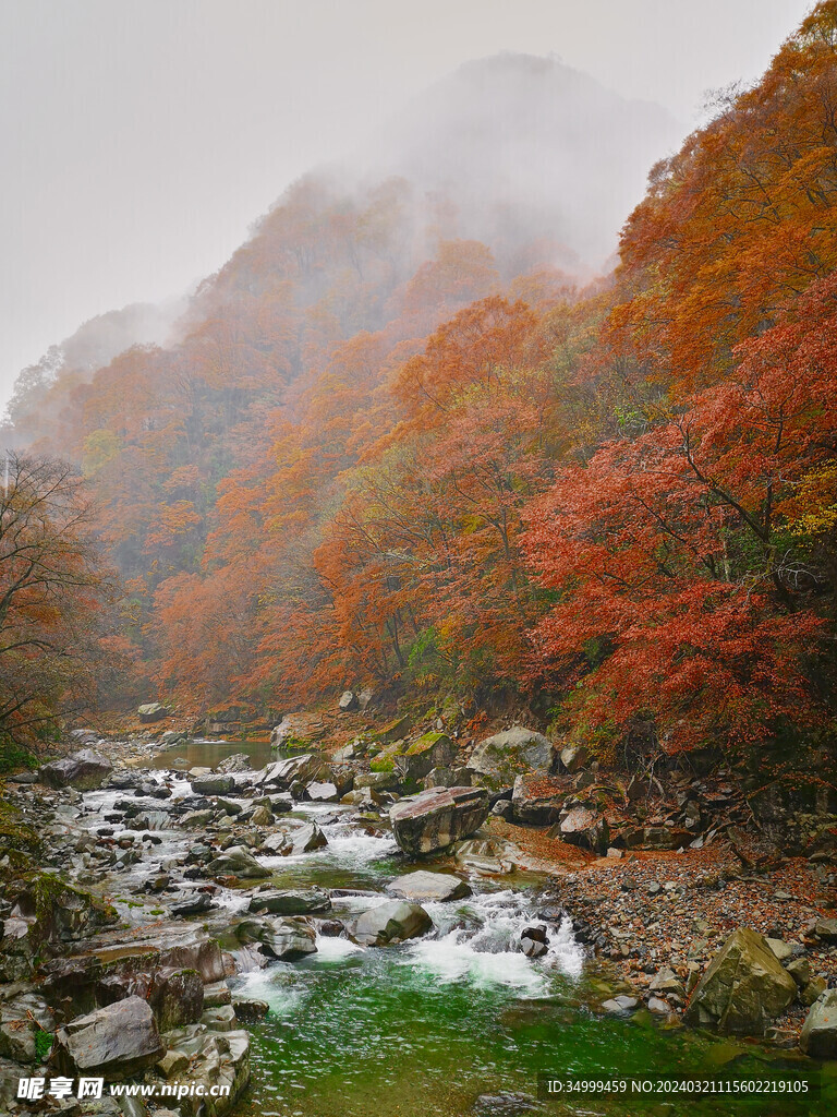 秋雨光雾山