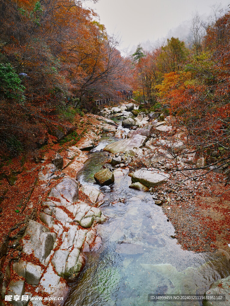 秋雨光雾山