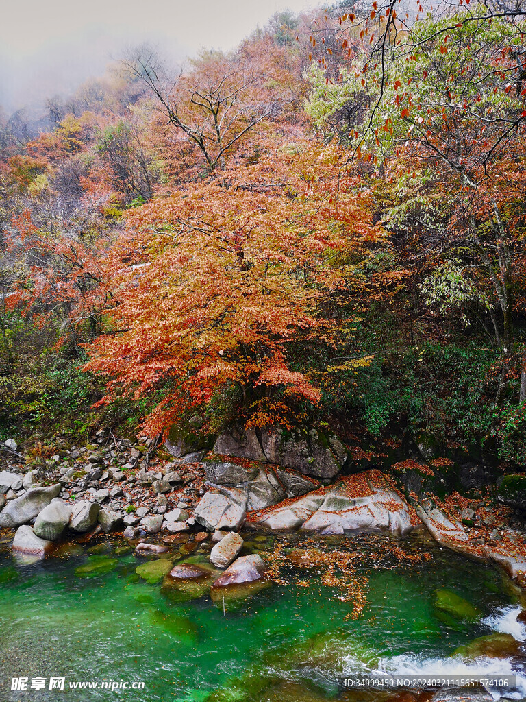 秋雨光雾山