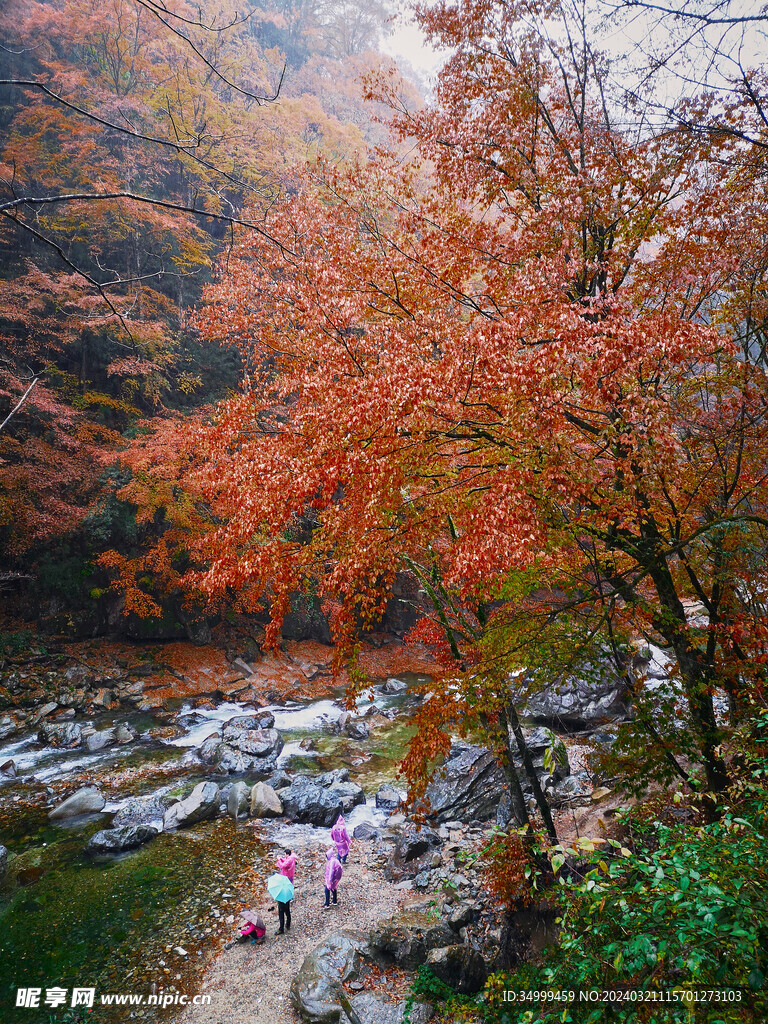 秋雨光雾山