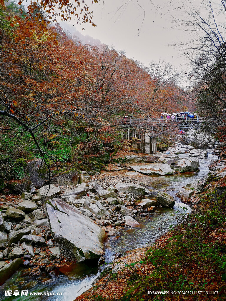 秋雨光雾山