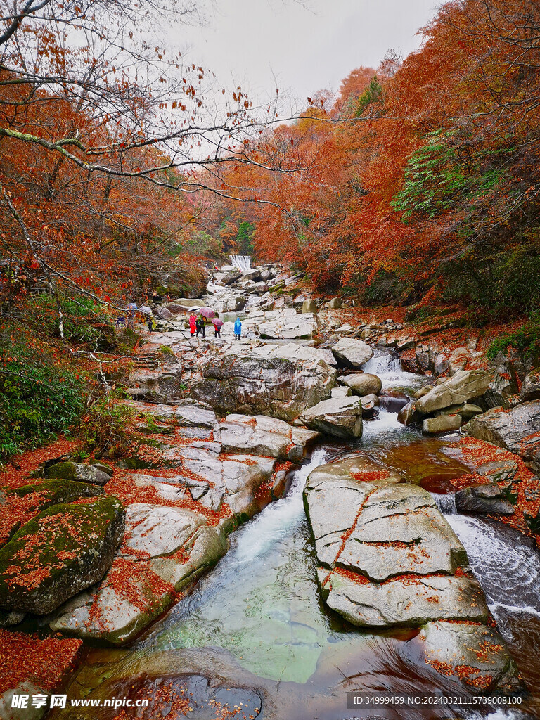 秋雨光雾山