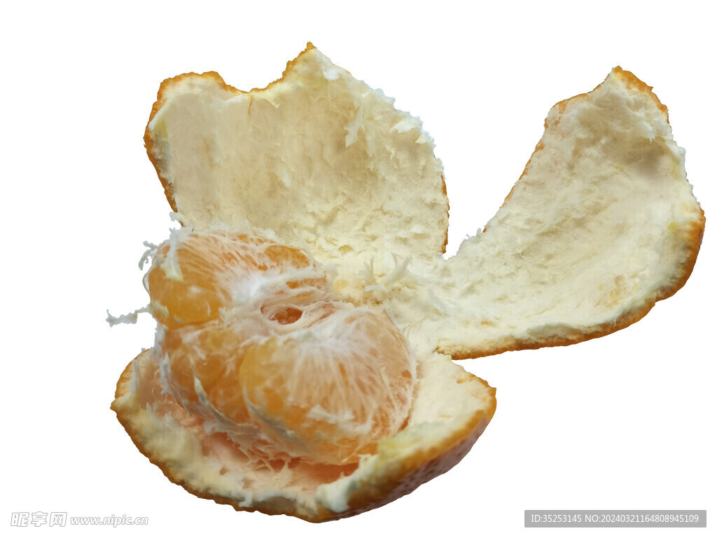 素材 橘柑