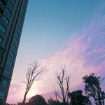 早晨的天空