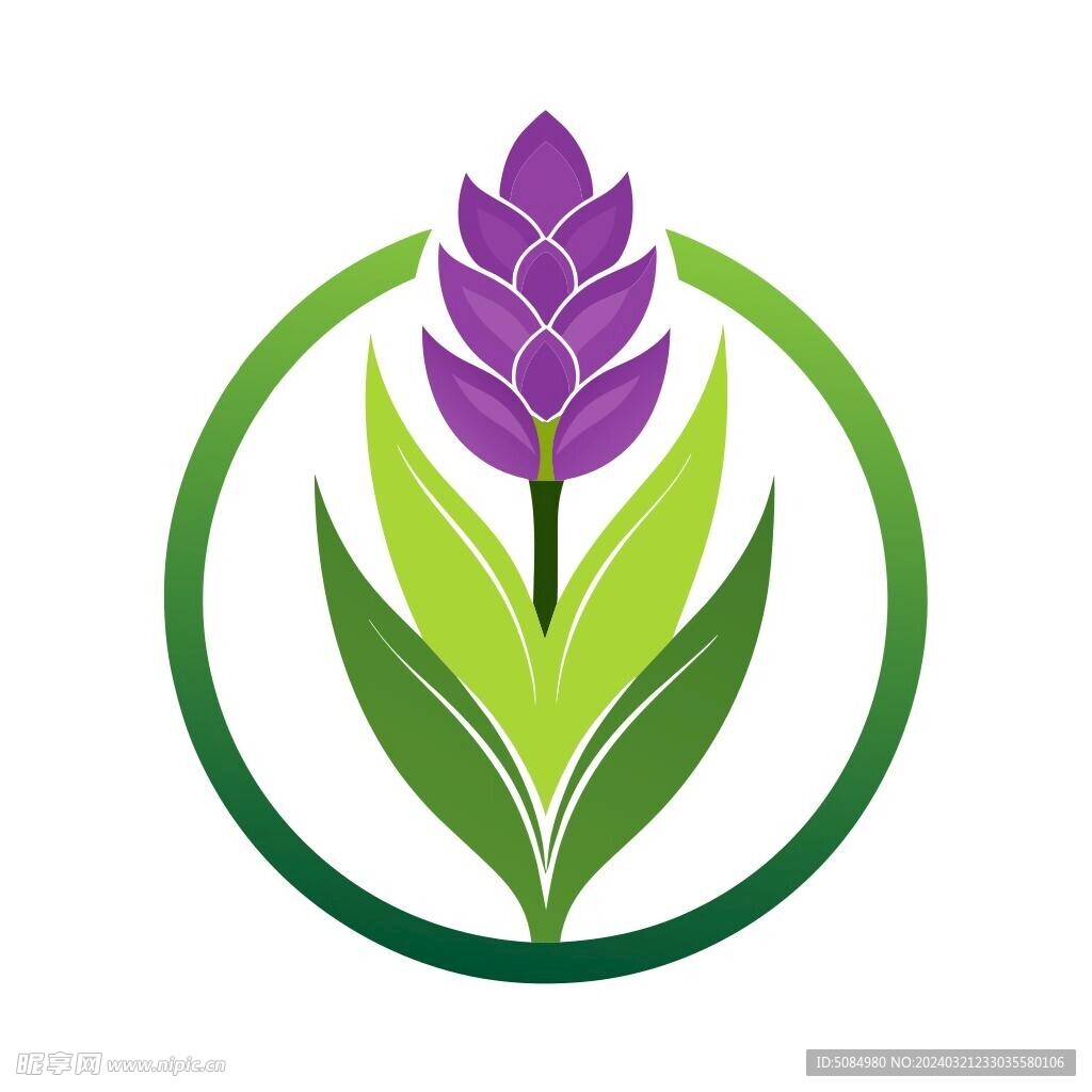 风信子 logo