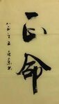 命  杨克东书法鸿鹄图片