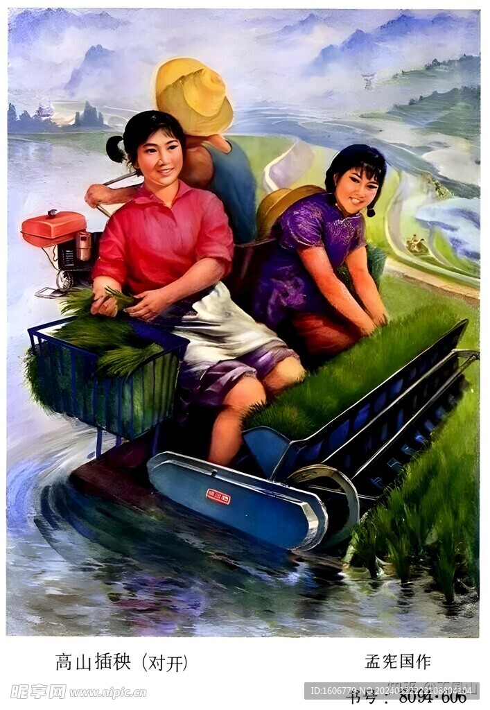 高山插秧