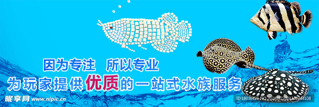 水族观赏鱼蓝色海报banner