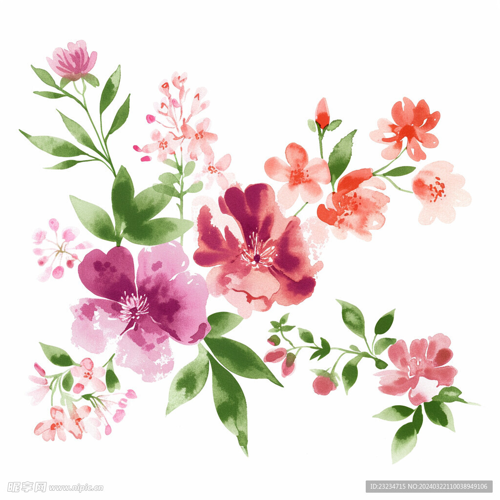 水彩花卉
