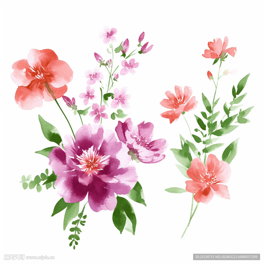 水彩花卉