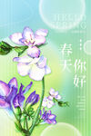 春天海报宣传