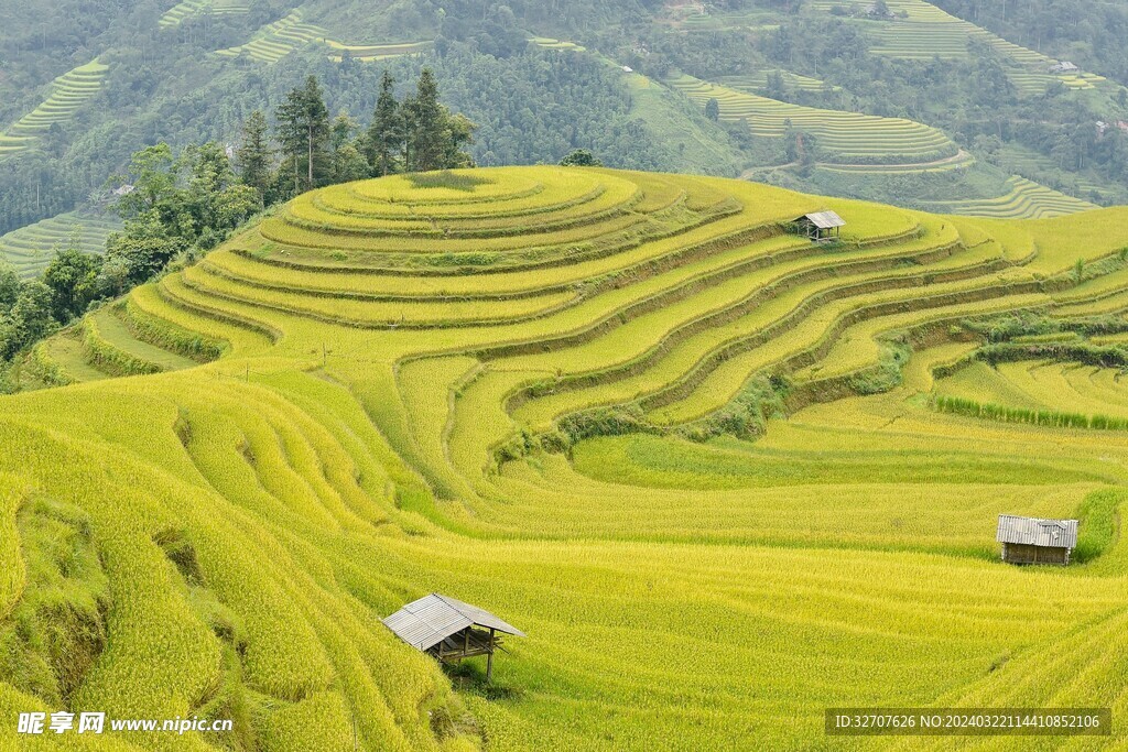 梯田