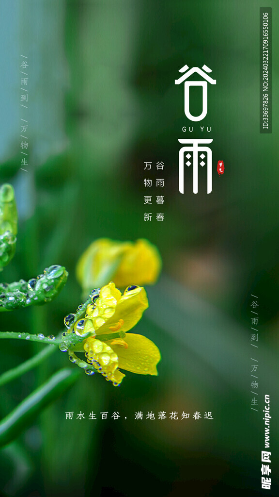 谷雨