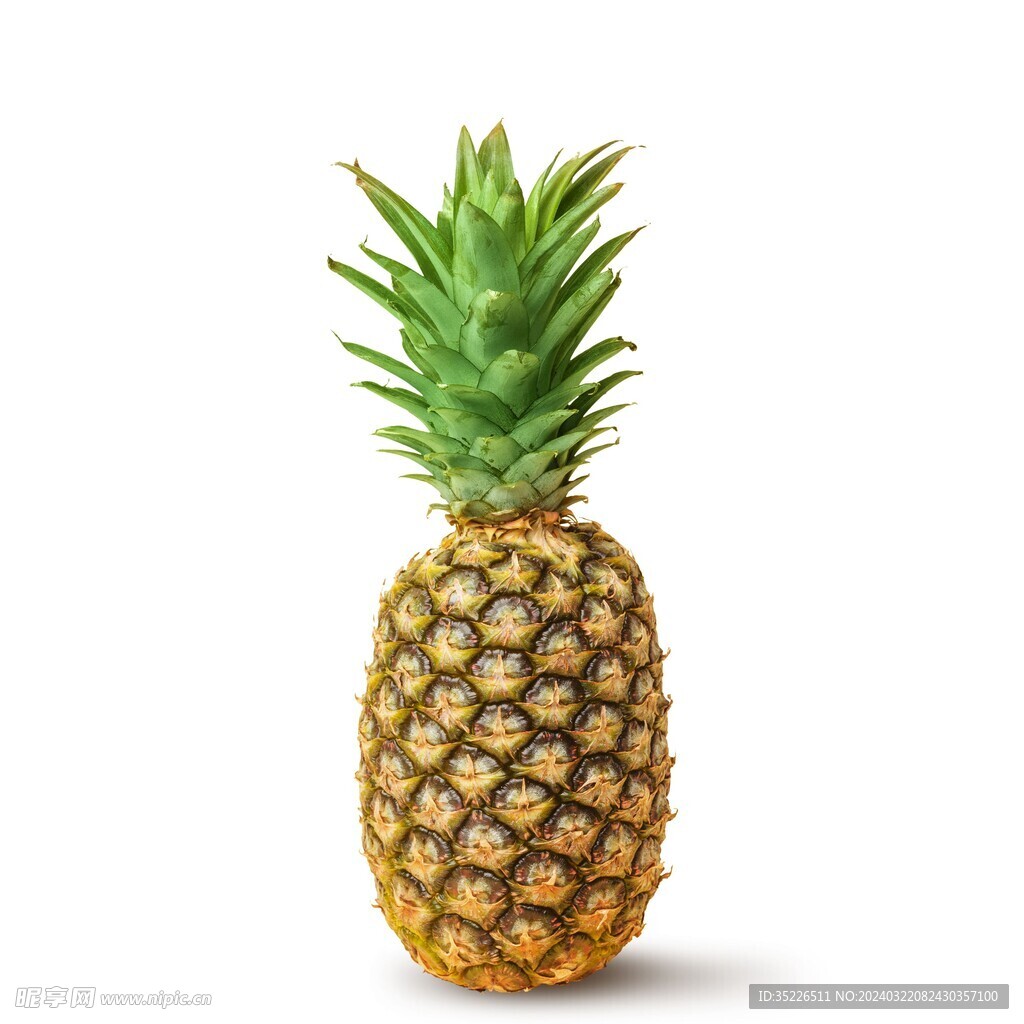 凤梨