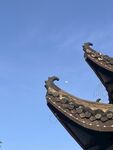 建筑