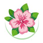 杜鹃花 logo