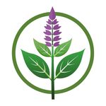 茴香花 logo