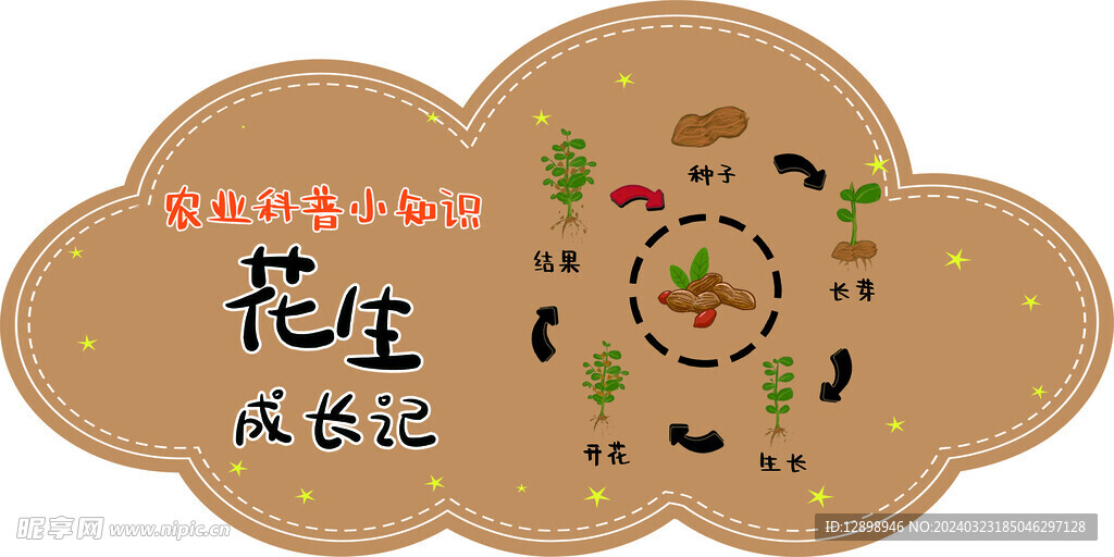花生