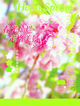 春天刷屏