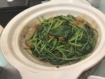 砂锅芥蓝苗