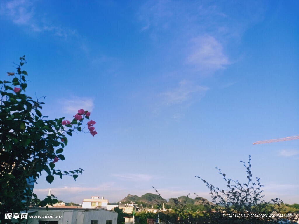 夏天