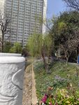 河堤