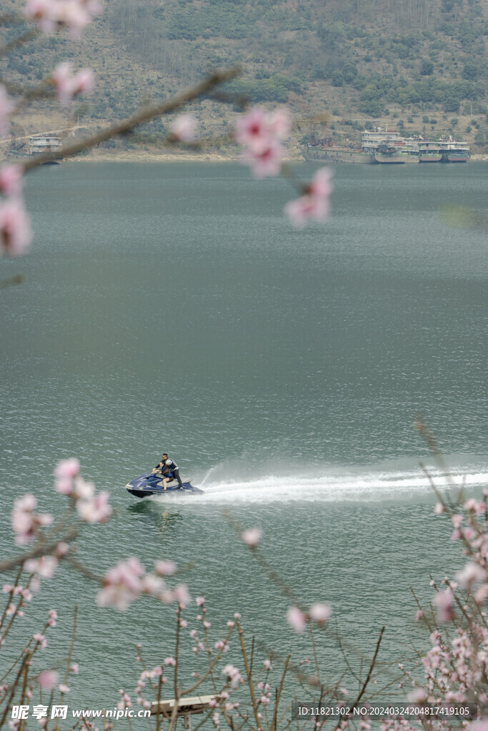 桃花盛开春意浓