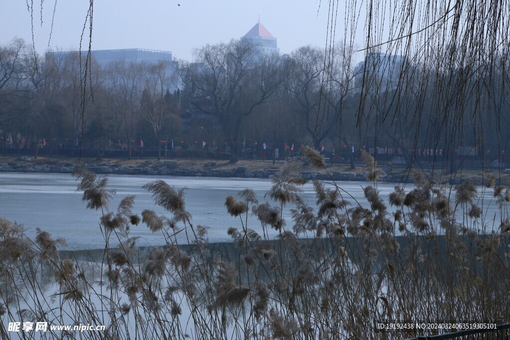 冬日风景