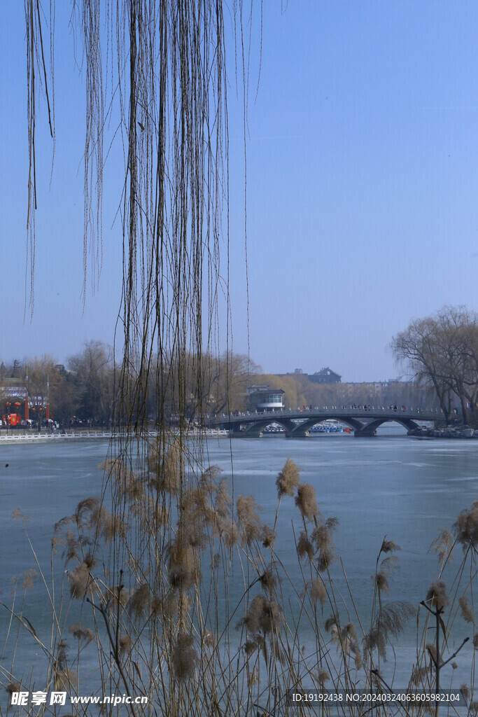 冬日风景