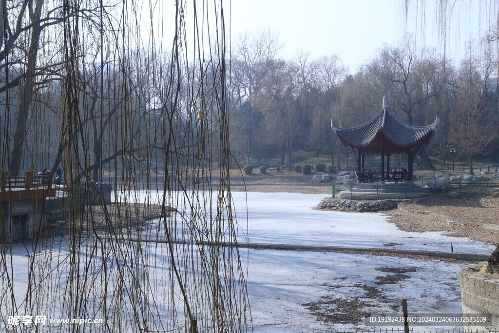 冬日风景