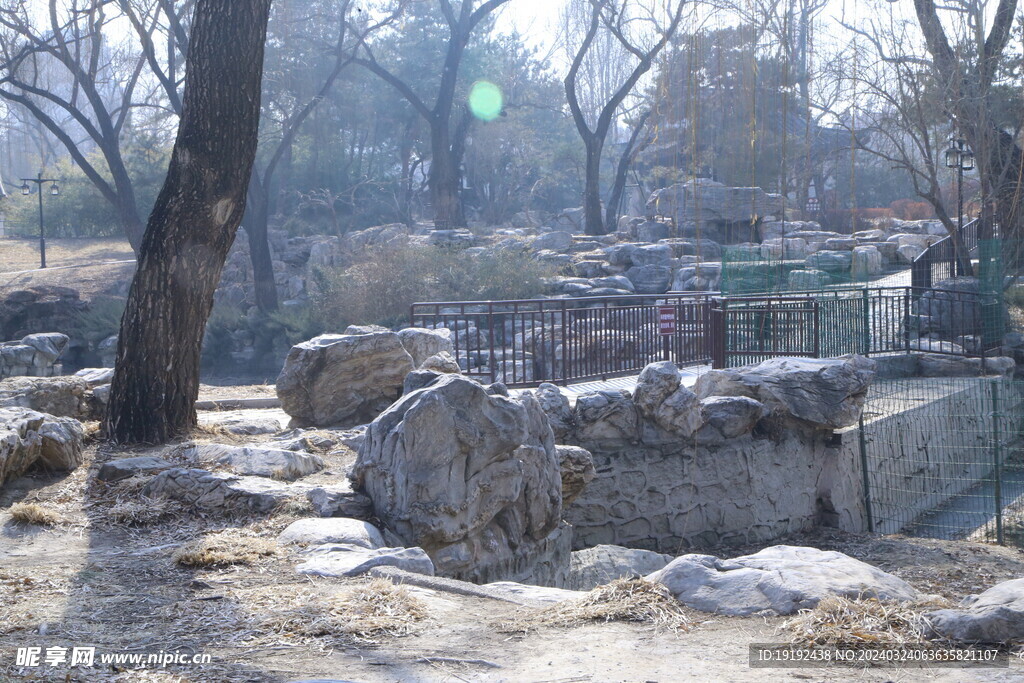 冬日风景 