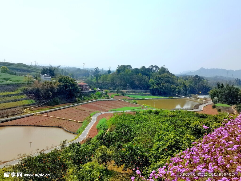 美丽的乡村风景