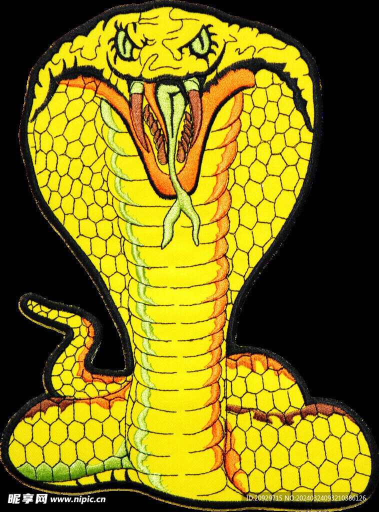 蛇图案 图标 